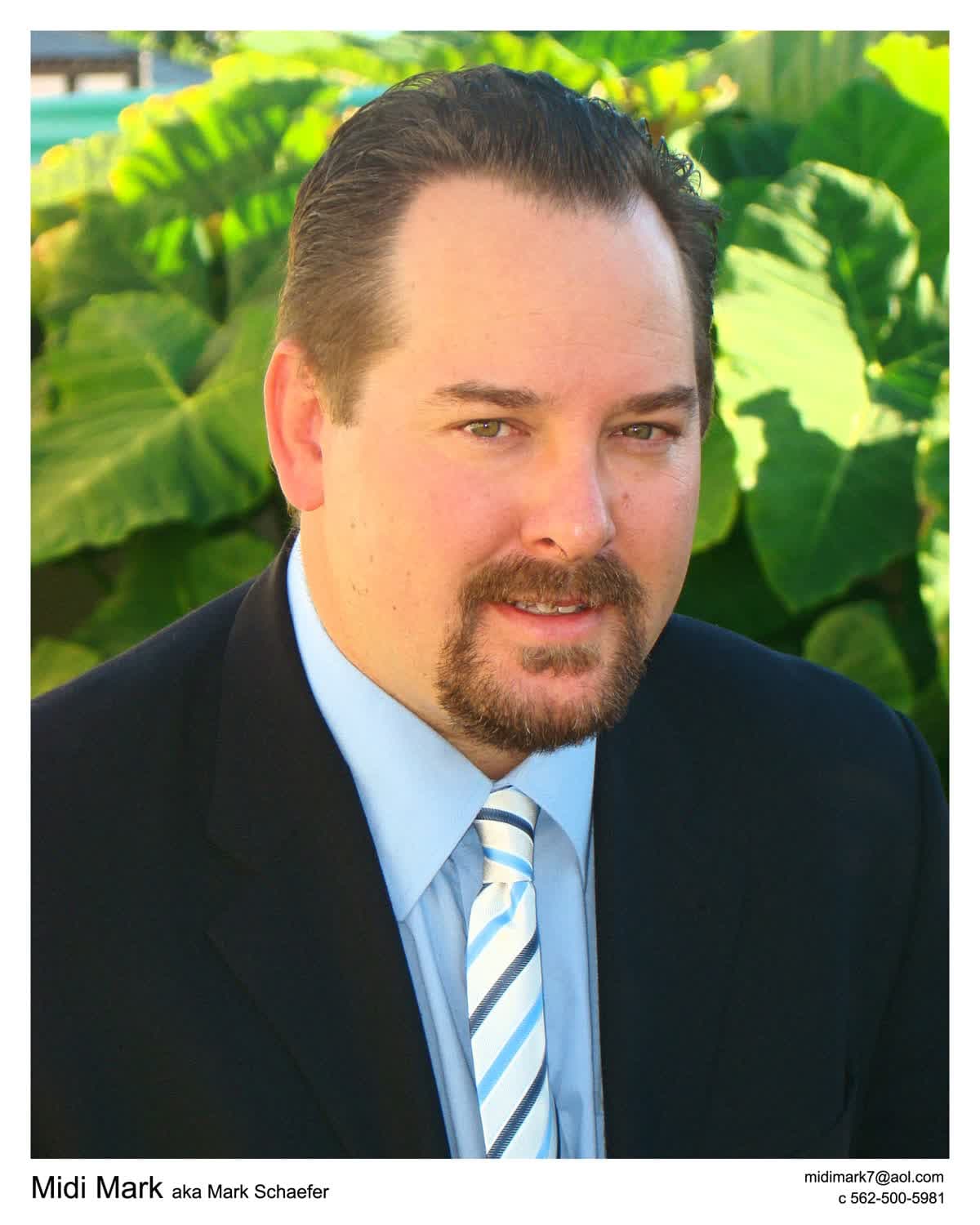 Mark Schaefer