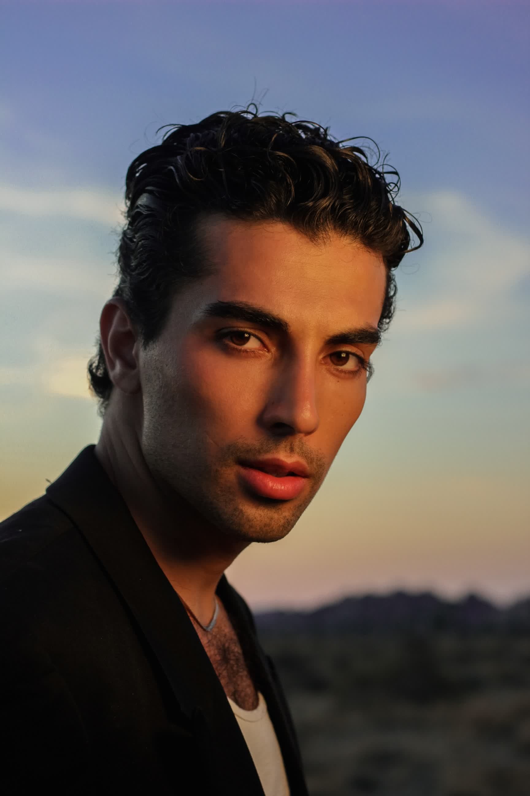 Shervin Alenabi