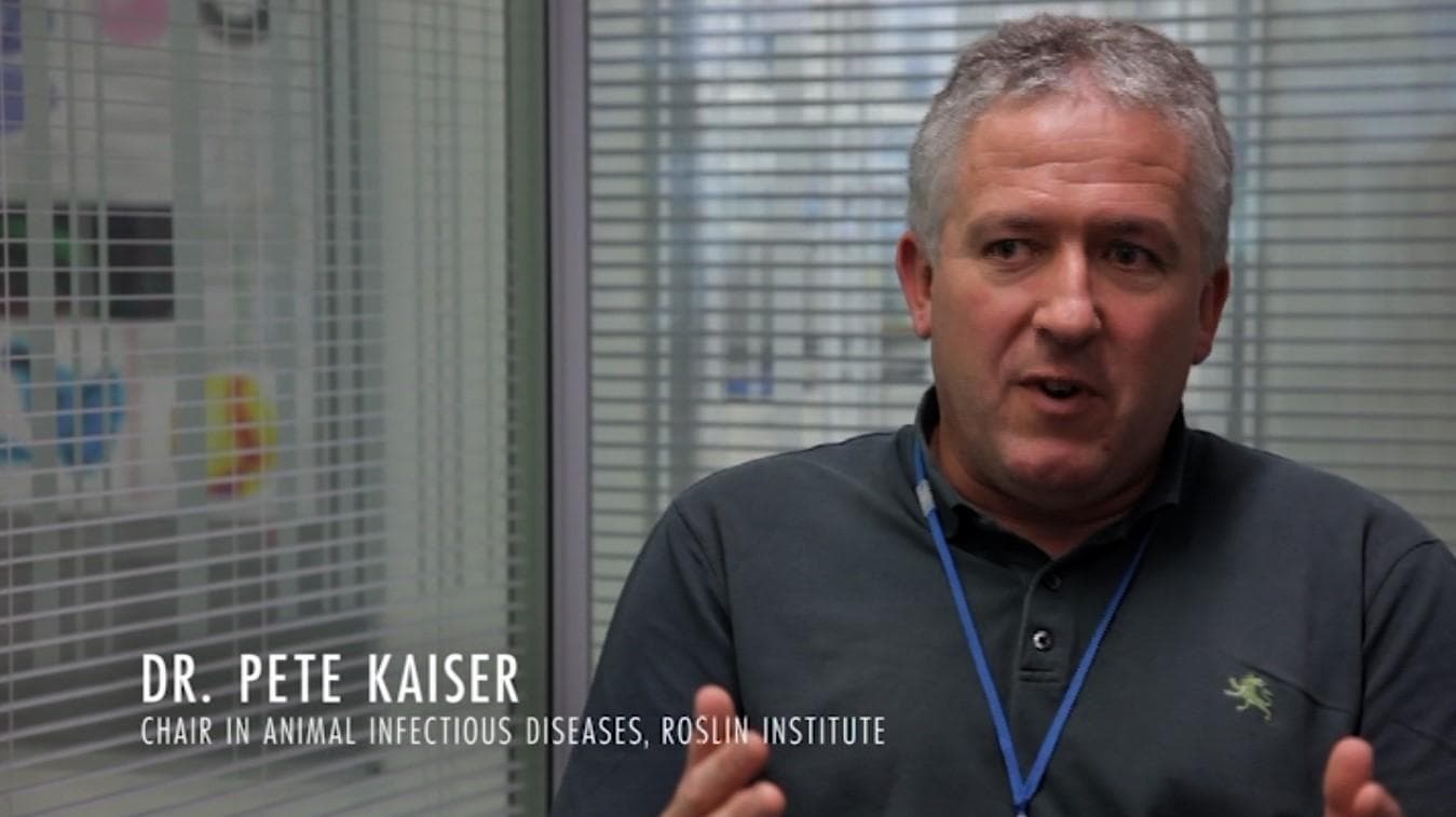 Pete Kaiser