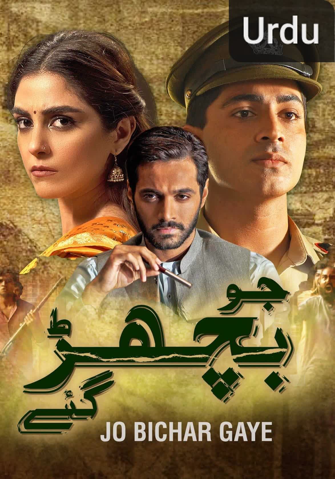 Jo Bichar Gaye