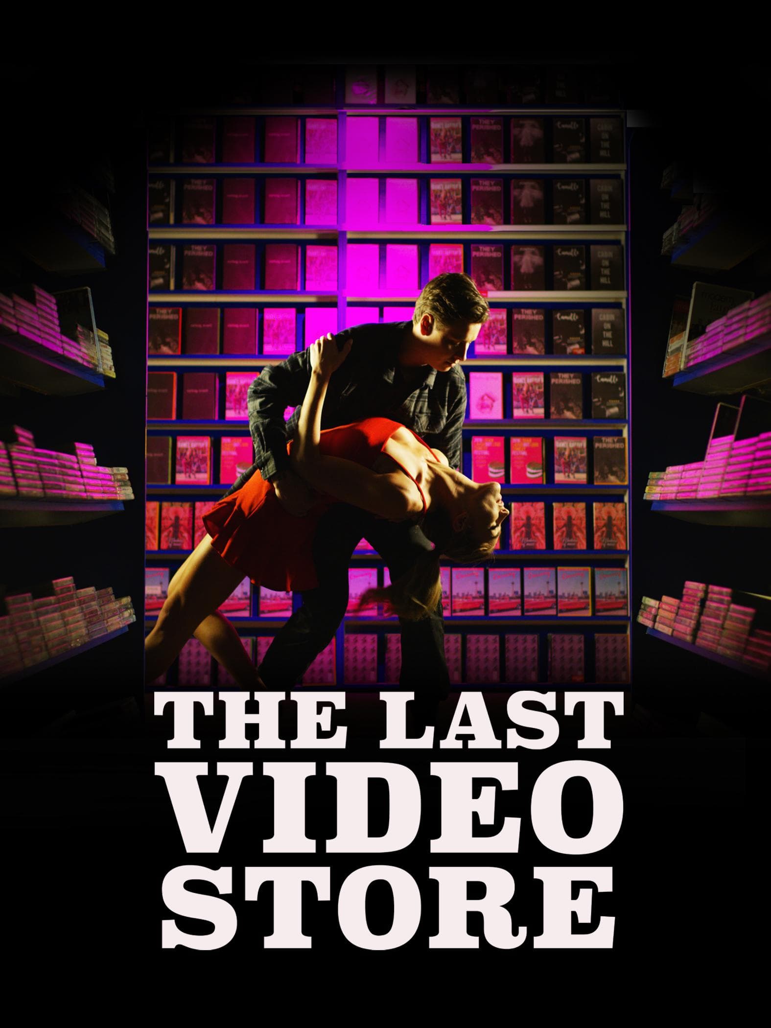 The Last Video Store