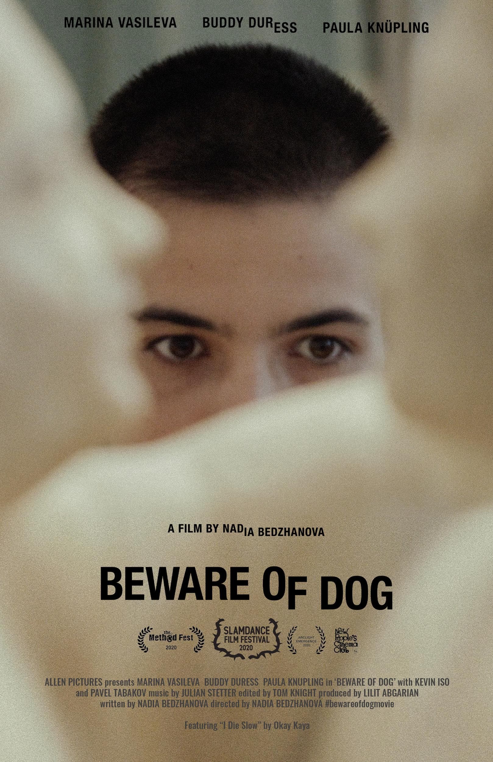 Beware of Dog