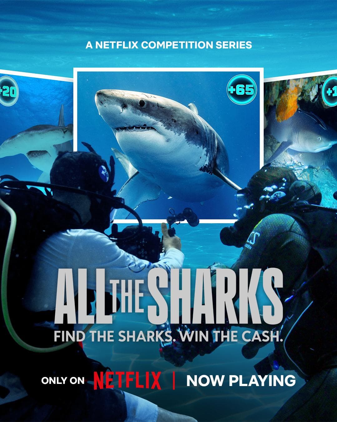 All the Sharks