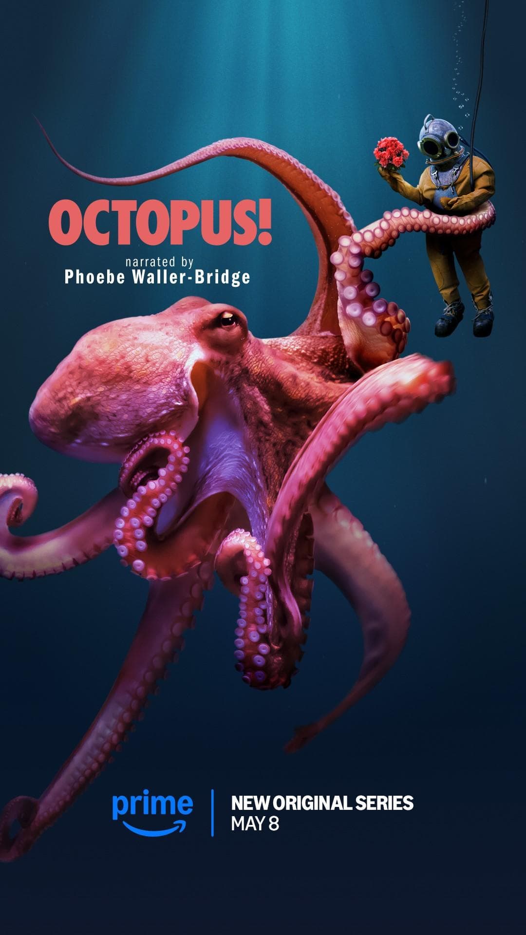 Octopus!