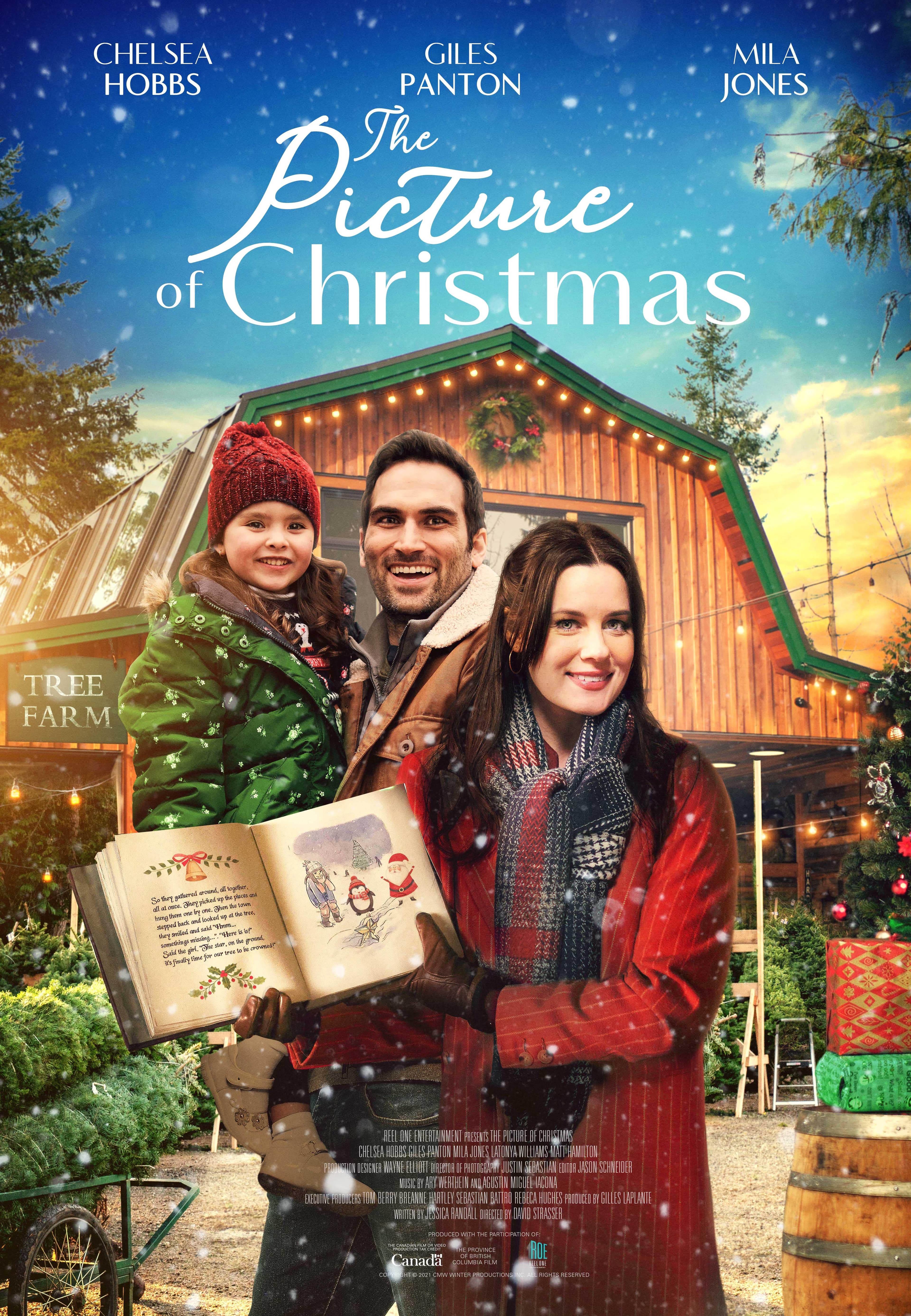 The Picture of Christmas