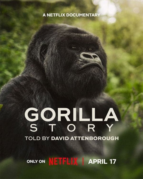A Gorilla Story: Told by David Attenborough
