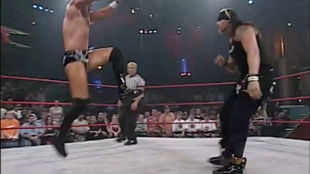 Matt Morgan (Carbon footprint compilation. 2008 - 2013)