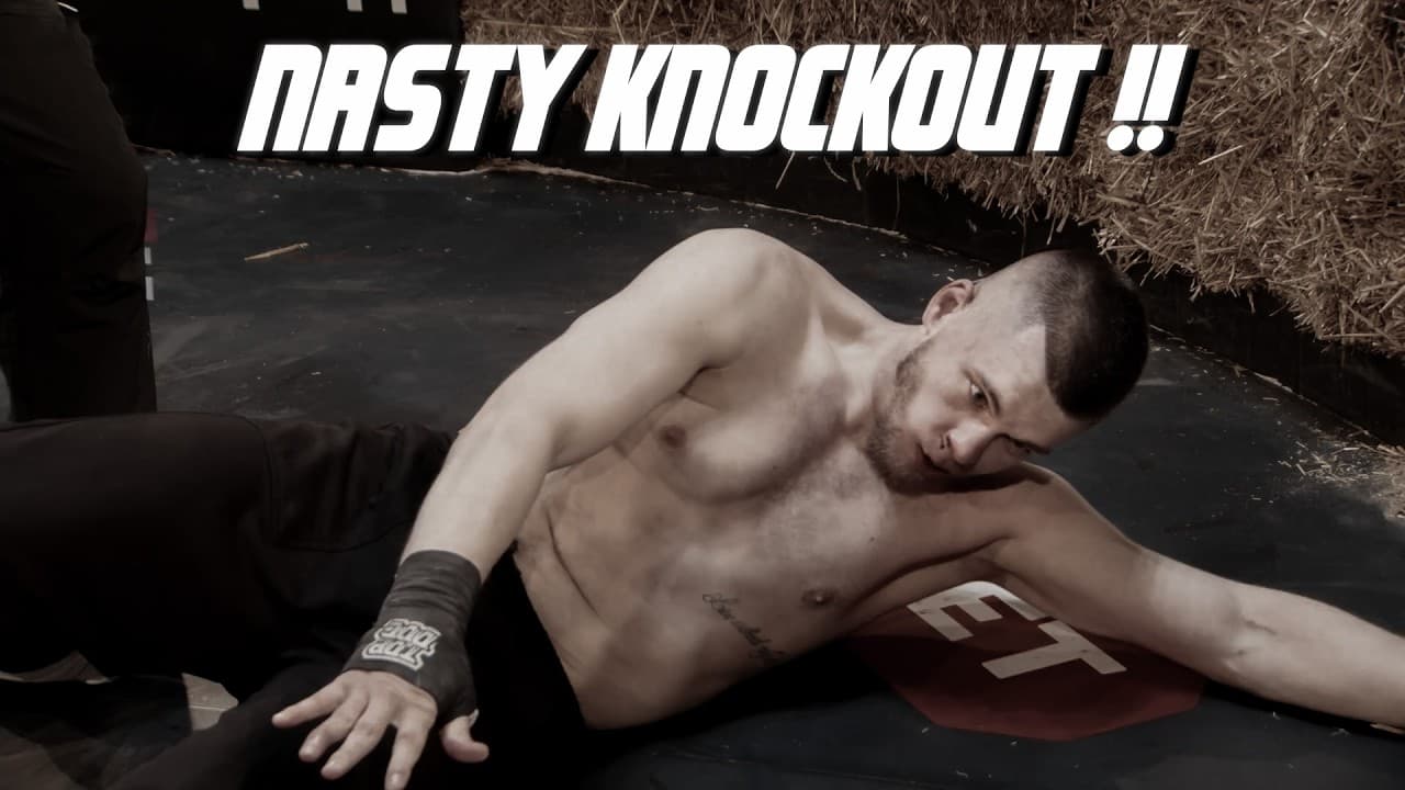 The Most Brutal KO's and Fights of Top Dog 41 | Bare knuckle Boxing Championship | HIGHLIGHTS