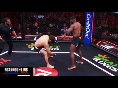 Francis Ngannou Ko's Philipe Lins, Educational Breakdown