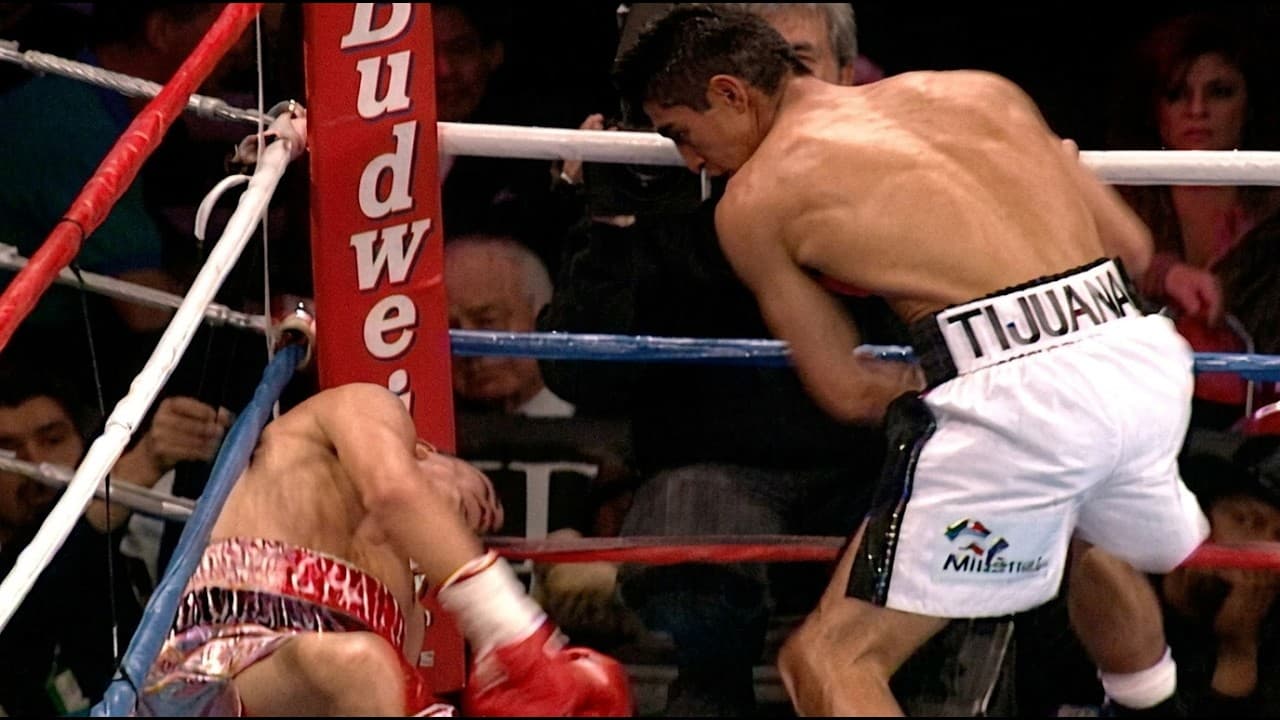 When One Punch Ends EVERYTHING… (Top Rank Part 1)