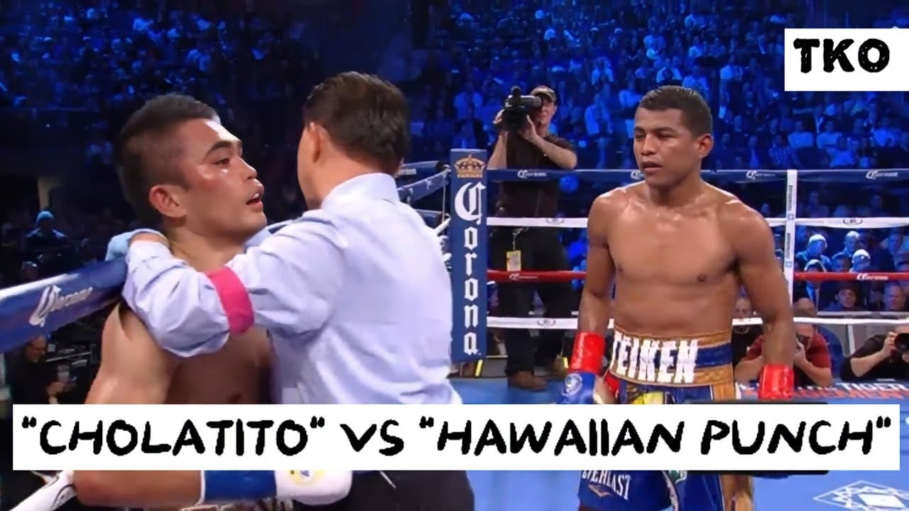 INTENSED PUNCHED! BRIAN VILORIA (PHILIPPINES) VS ROMAN GONZALEZ (MEXICO) WBC WORLD FLYWEIGHT