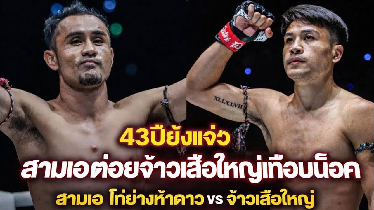 43ปียังแจ๋ว สามเอต่อยจ้าวเสือใหญ่เกือบน็อค สามเอ ไก่ย่างห้าดาว vs จ้าวเสือใหญ่ ส.เดชะพันธ์