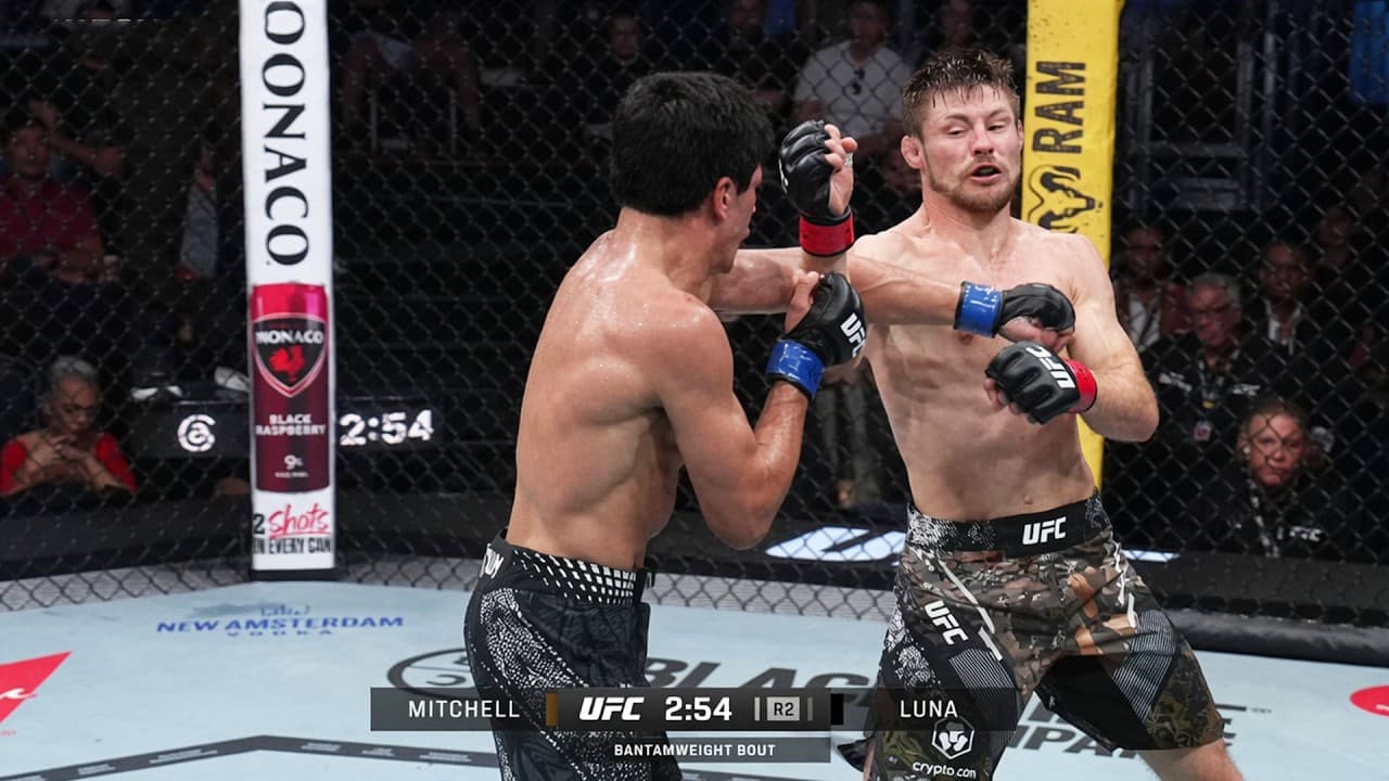 Bryce Mitchell vs Santiago Luna FULL FIGHT HIGHLIGHTS | | UFC Vegas 118