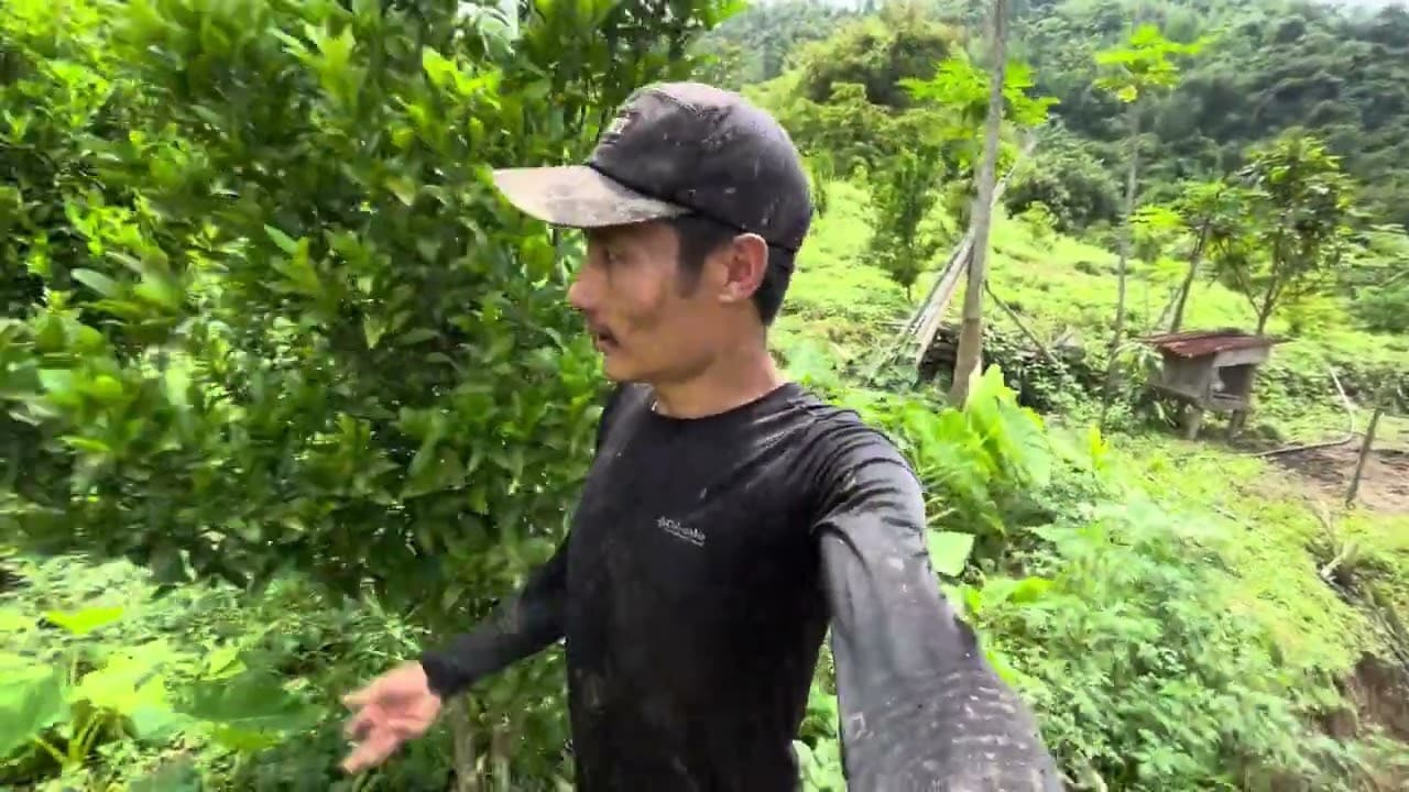 A day in my paddy field