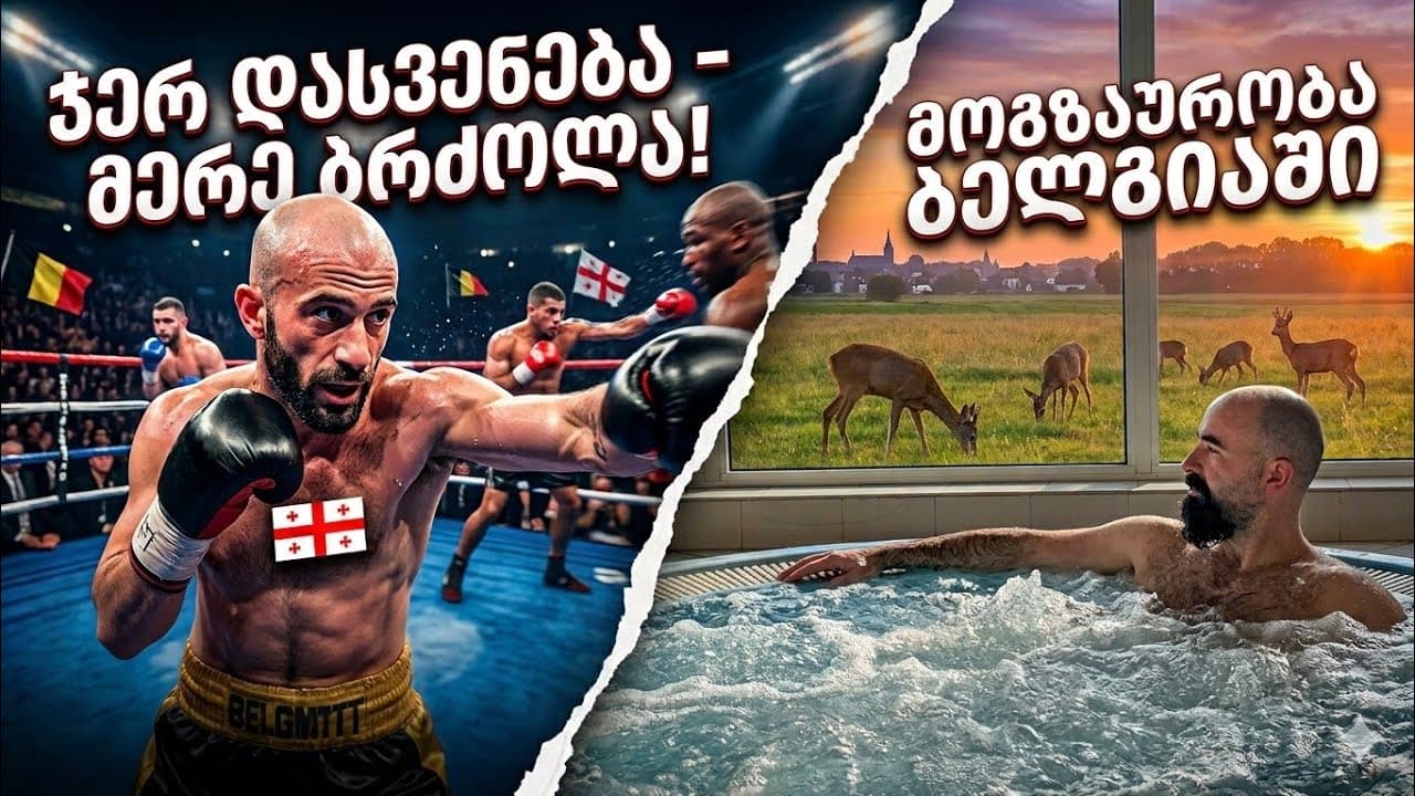 ბრძოლა რინგზე და ირმები ფანჯარაში - ხვთისო თითიბერიას მოგზაურობა და ასპარეზობა ბელგიაში - VLOG