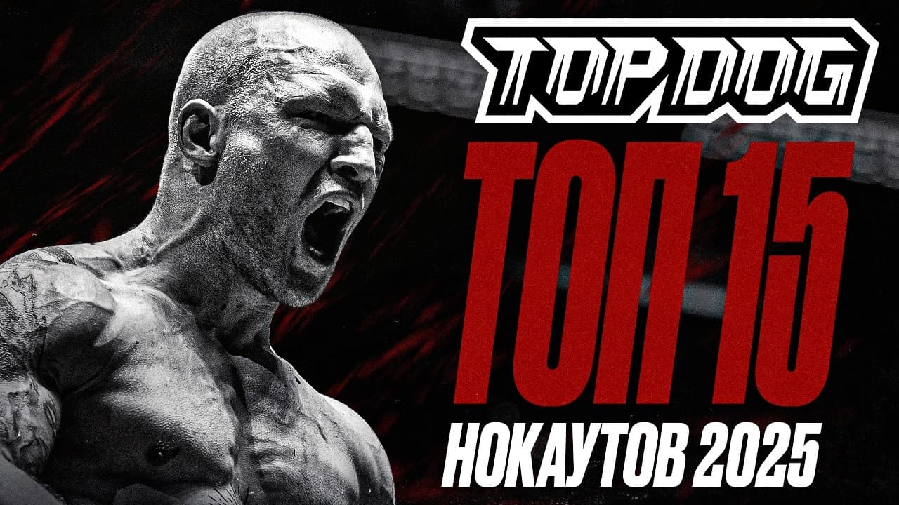 ТОП 15 НОКАУТОВ В TOP DOG | 2025