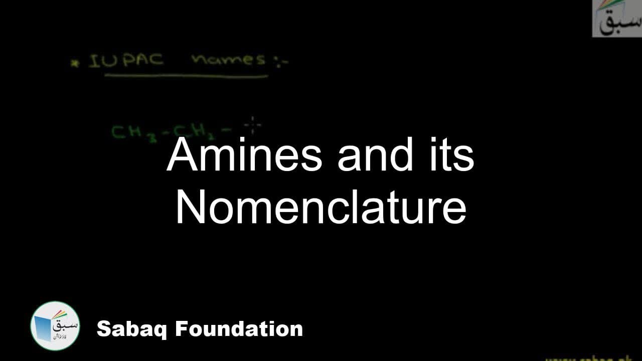Amines and Amino Acids