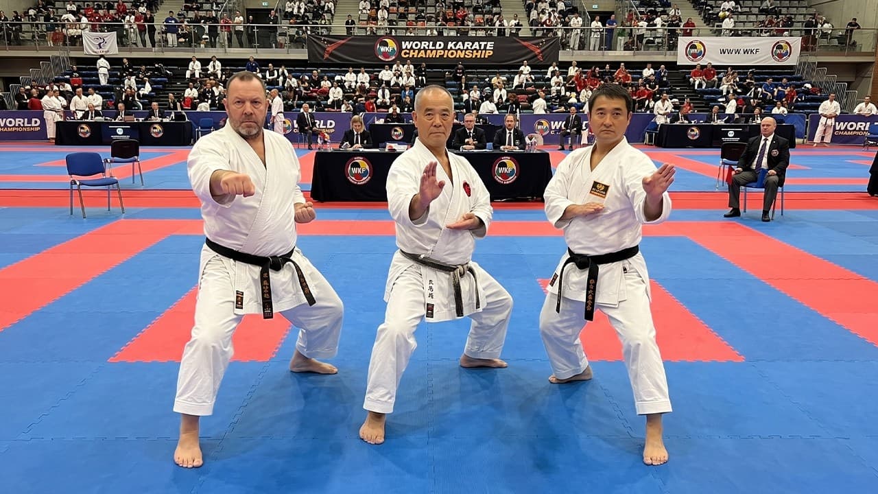 They Think All Karate Is the Same — They're Completely Wrong | Shotokan vs Goju Ryu vs Shito Ryu