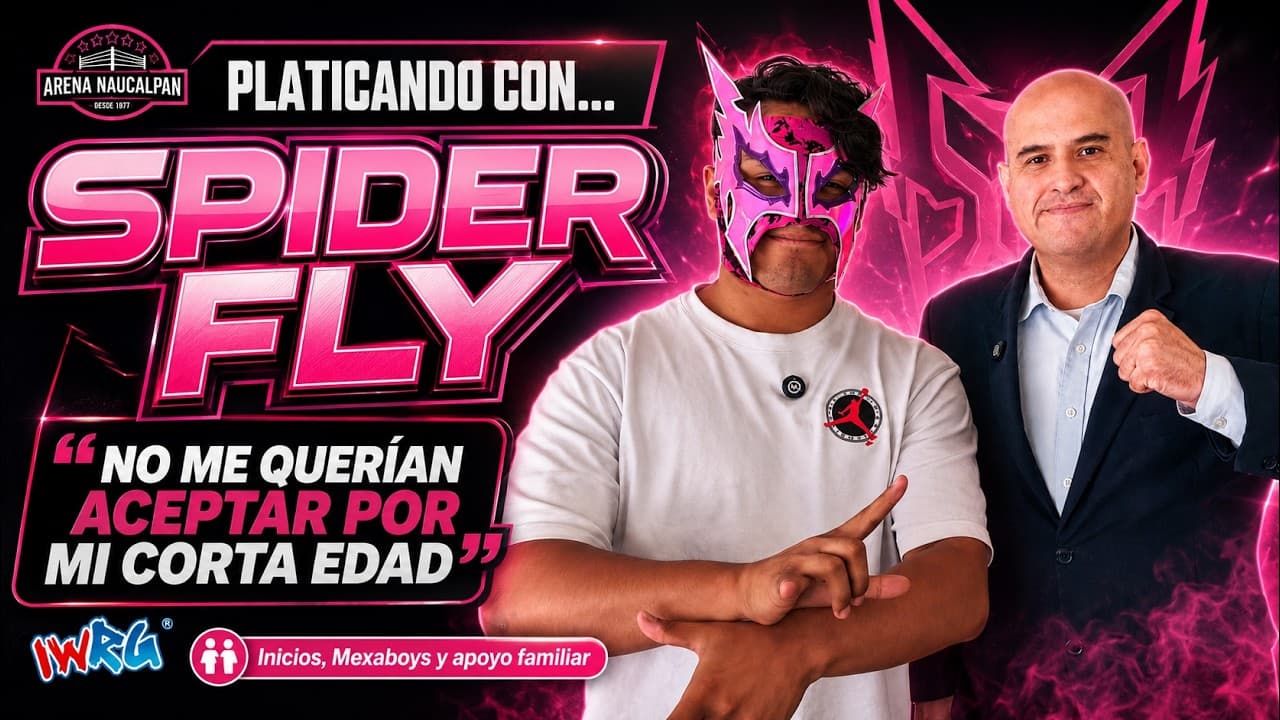 Platicando con spider fly 2026-07-04 10:12
