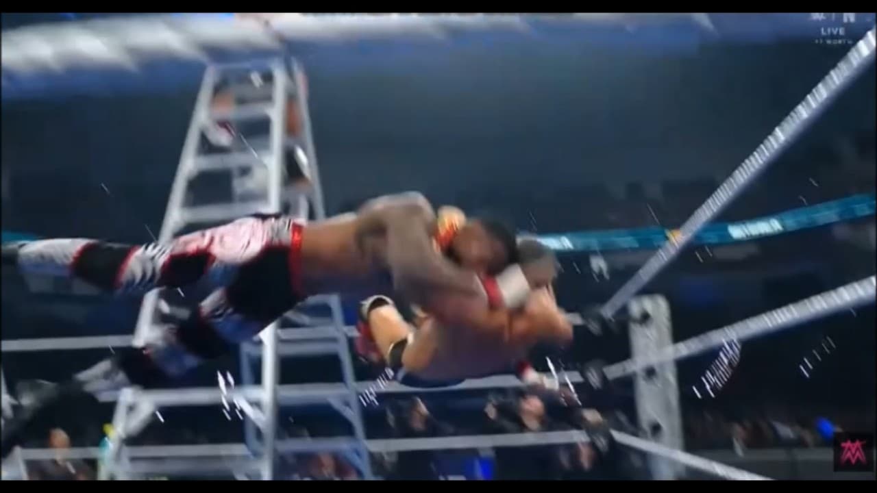 WWE Ladder Moments Part 4