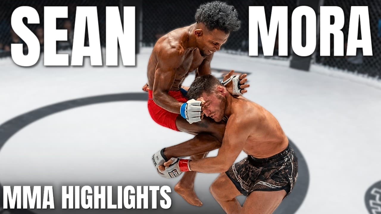 Sean Mora MMA HIGHLIGHTS 2026 Professional 7-1 TUF 34 Fighter UFC Prospect | CFFC | Fury FC🇨🇺