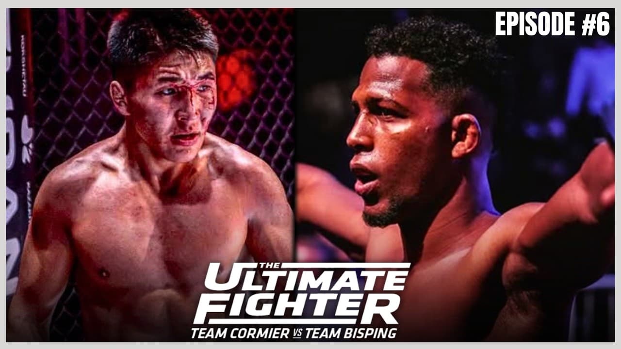 MMA Fighter Highlights | TUF 34 Episode 6 | Ultimate Fighter 34: Cormier vs. Bisping | UFC Prospects