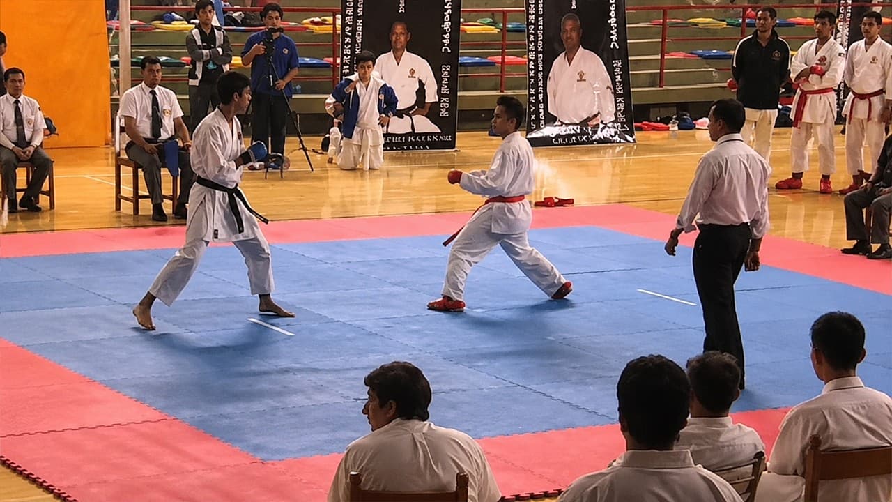 Goju-Ryu vs Shotokan — Which Karate Style Actually Works Better?