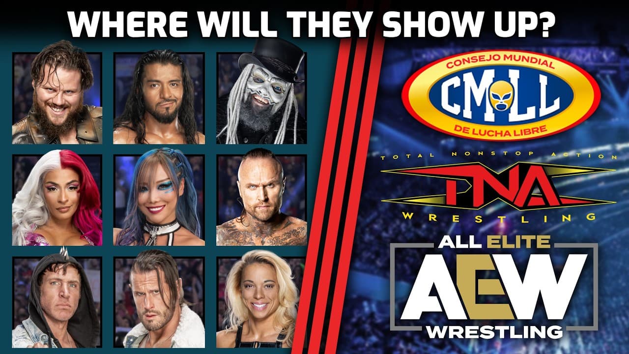90 days are up! Where will these ex-WWE performers show up next?