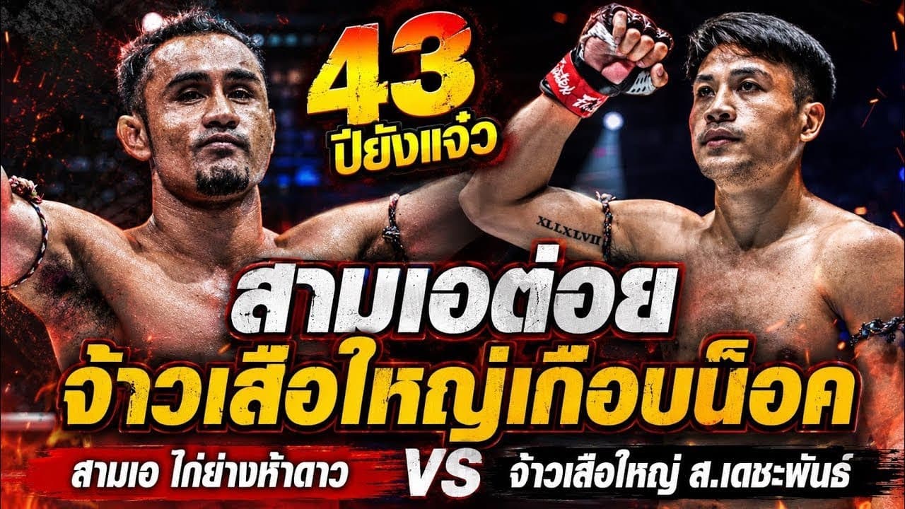 43ปียังแจ๋ว สามเอต่อยจ้าวเสือใหญ่เกือบน็อค สามเอ ไก่ย่างห้าดาว vs จ้าวเสือใหญ่ ส.เดชะพันธ์