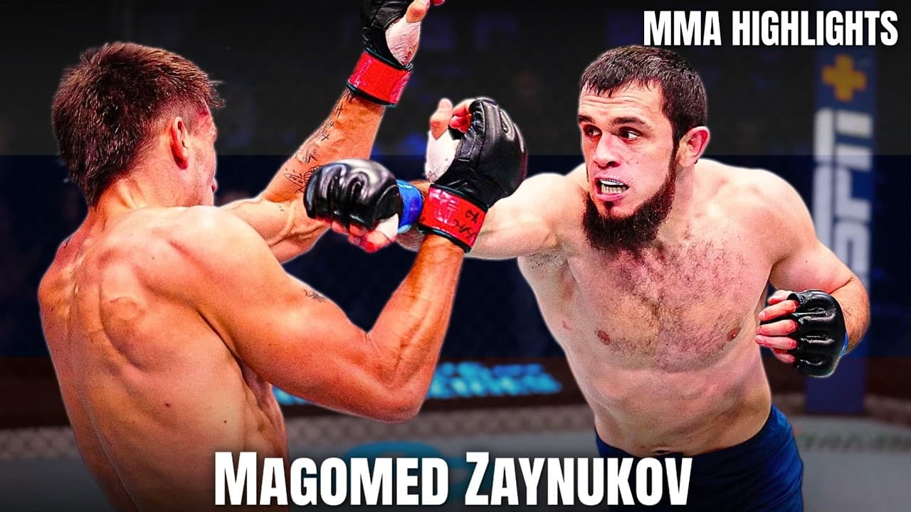 Magomed Zaynukov MMA HIGHLIGHTS 2026 Professional 8-0 Fighter UFC Prospect | DWCS | UAE Warriors🇷🇺