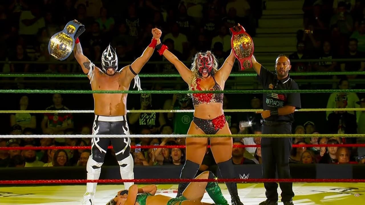 Every AAA World Mixed Tag Team Champions (2003-2026)