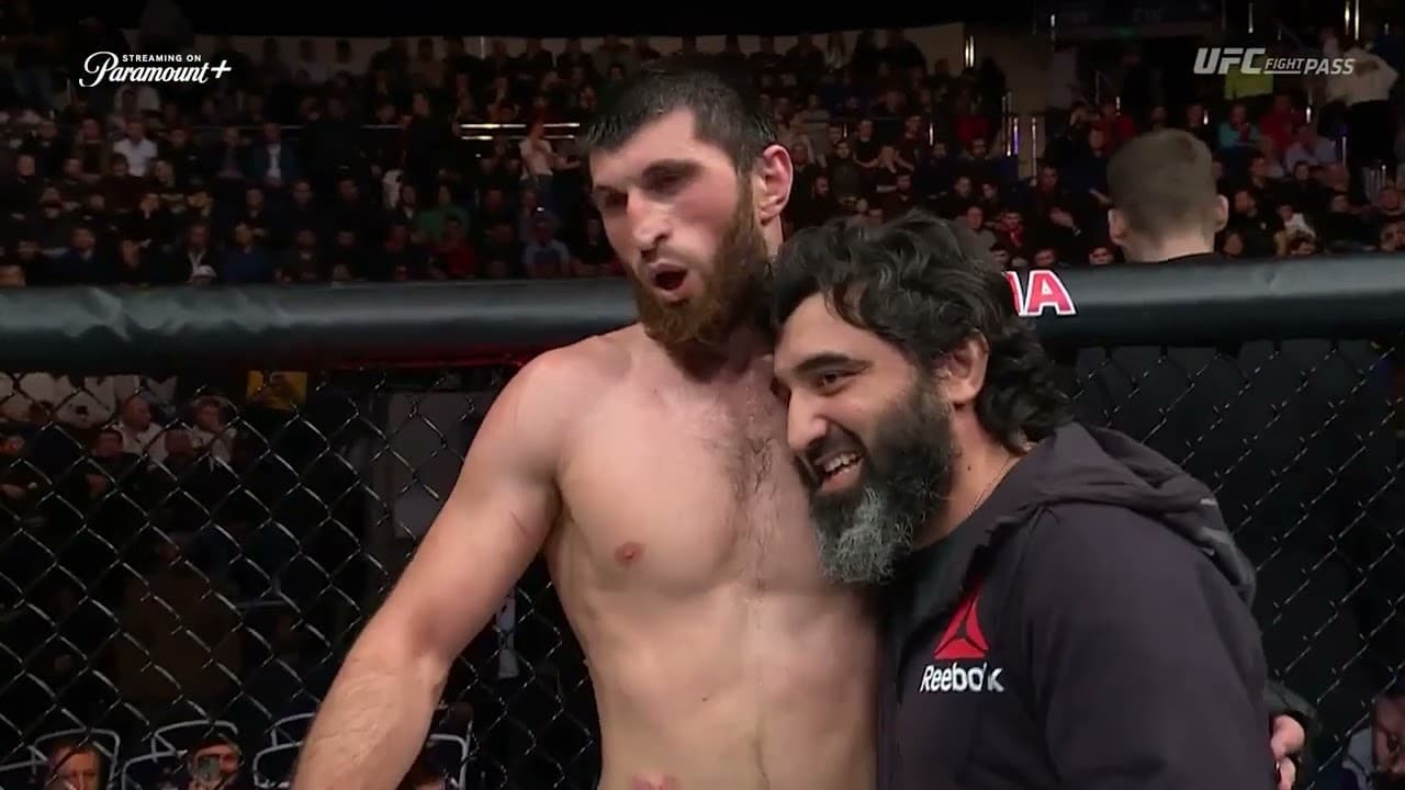 Best of Magomed Ankalaev's Finishes | Knockouts & Submissions
