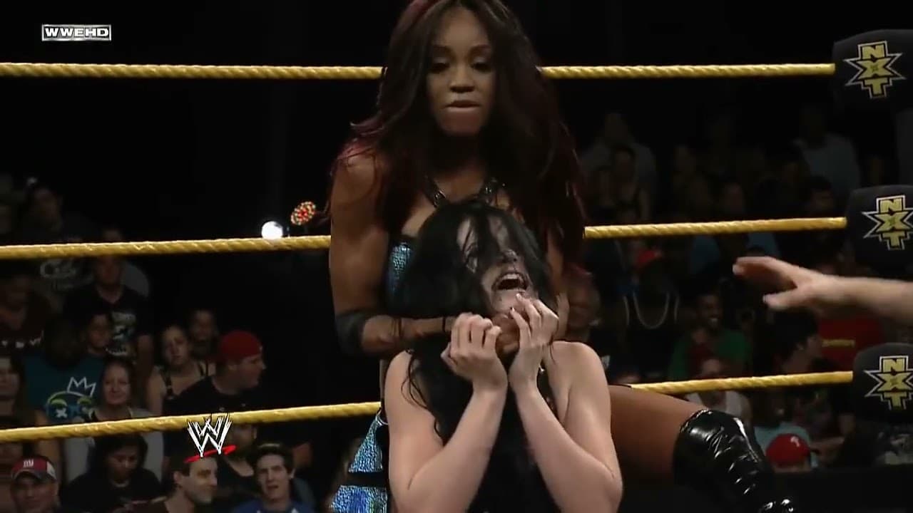 NXT 7/3/2013: Alicia Fox vs Paige
