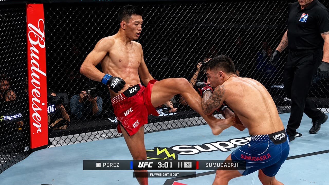 Alex Perez vs Sumudaerji 2 FULL FIGHT HIGHLIGHTS | UFC Shanghai