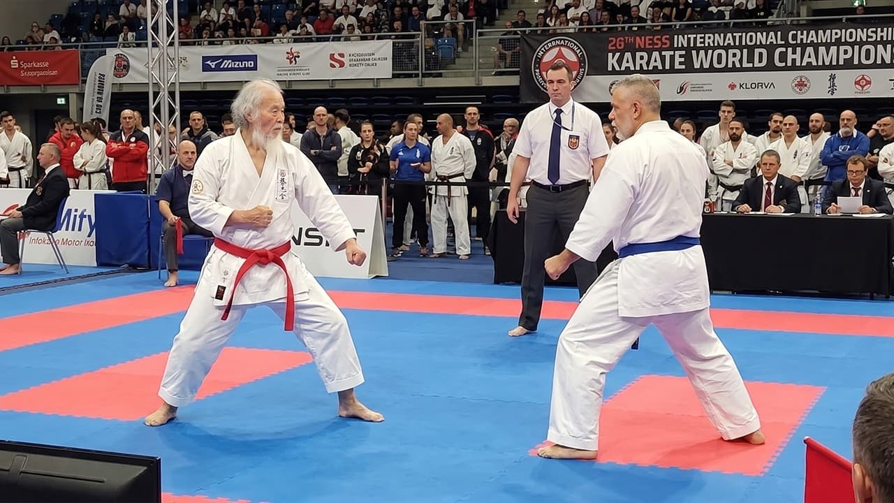 This Karate Looks Completely Wrong… Until You See Why It Works