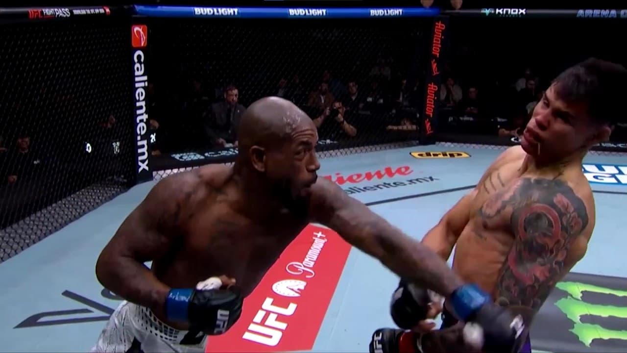 Best 2026 UFC Knockouts