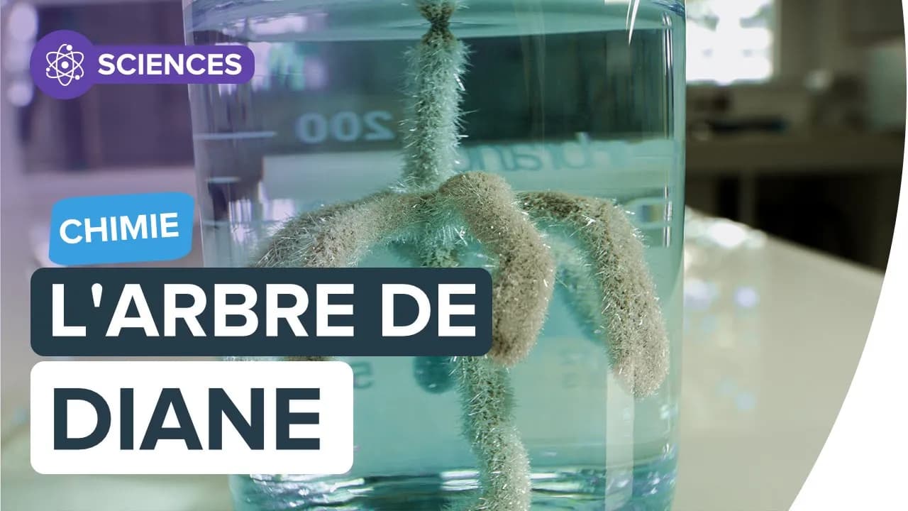 Oxydoréduction (1spé)