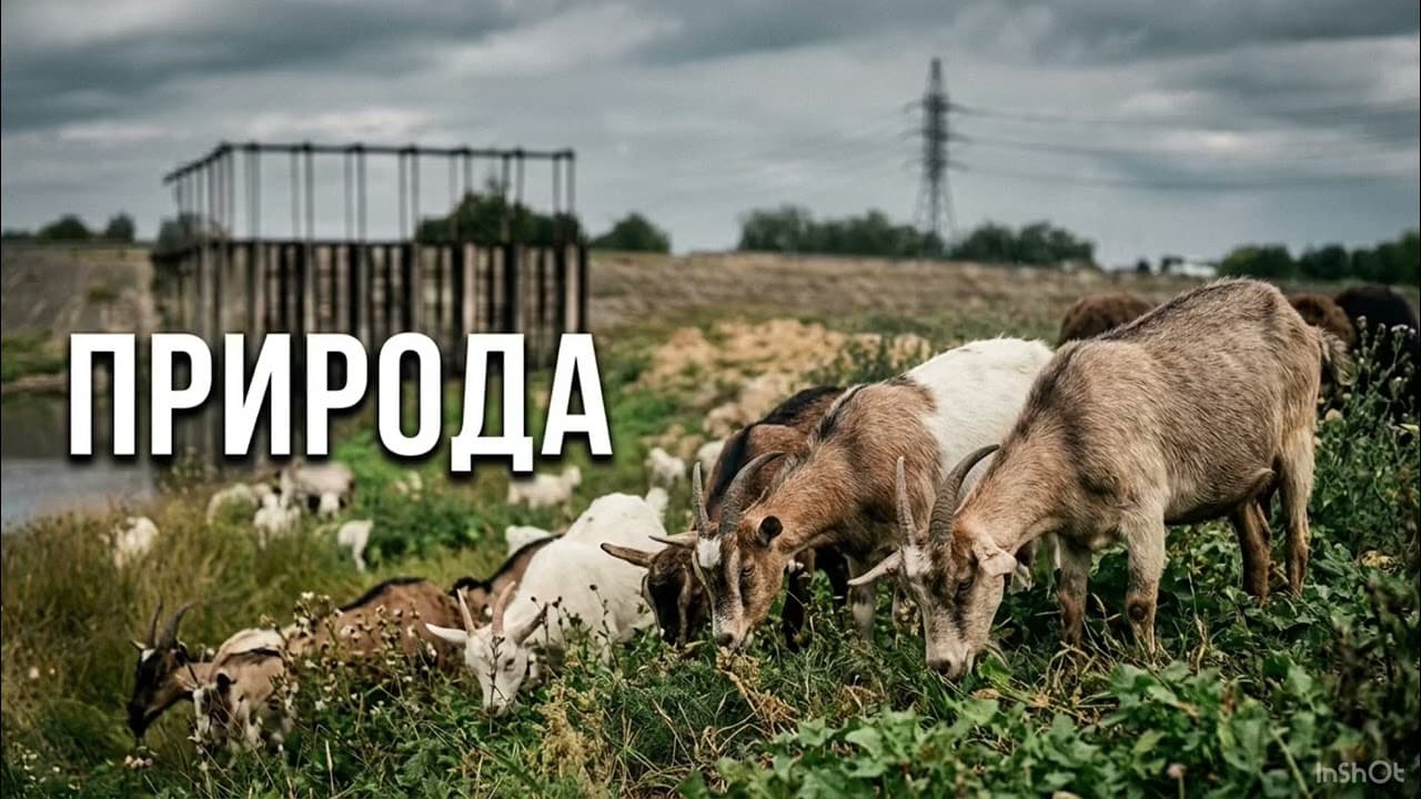 15 сентября 2026 г.