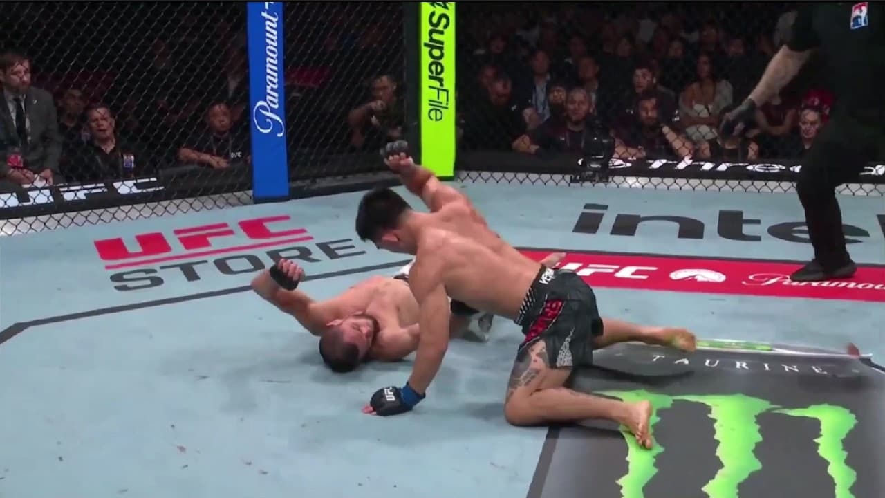 2026 UFC Knockouts