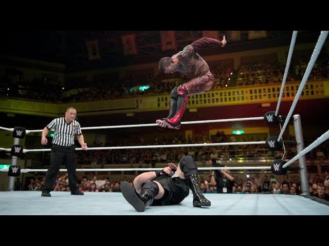 WWE Finisher OMG Moments Part 3