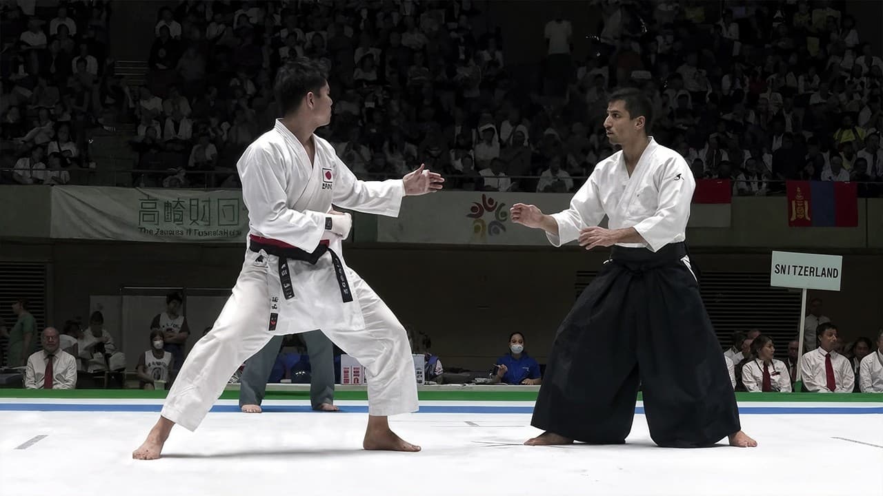 They Thought Aikido Was Too Gentle… Until This Master Showed Them Why