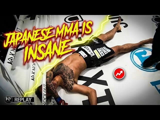 You Won't Believe These Knockouts Are REAL - Japanese MMA is INSANE