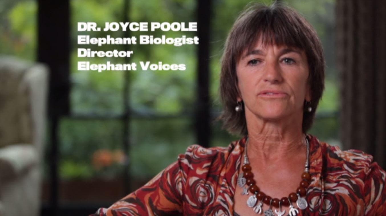 Joyce Poole