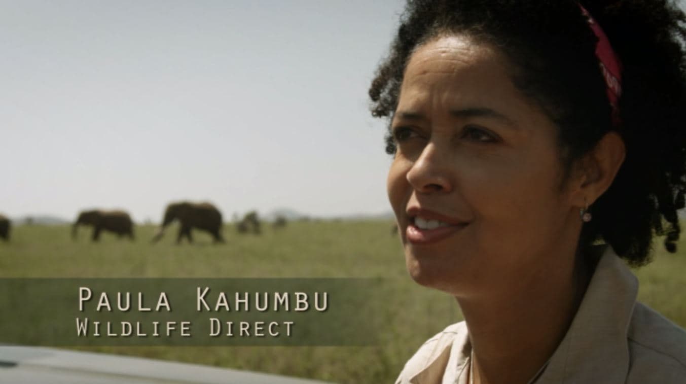 Paula Kahumbu