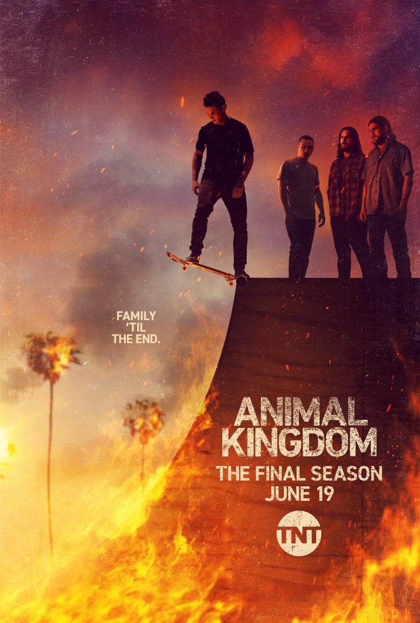 Animal Kingdom S1-S6